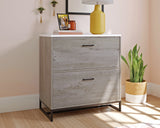 Tremont Row  2-Drawer Lateral File Cabinet in Mystic Oak