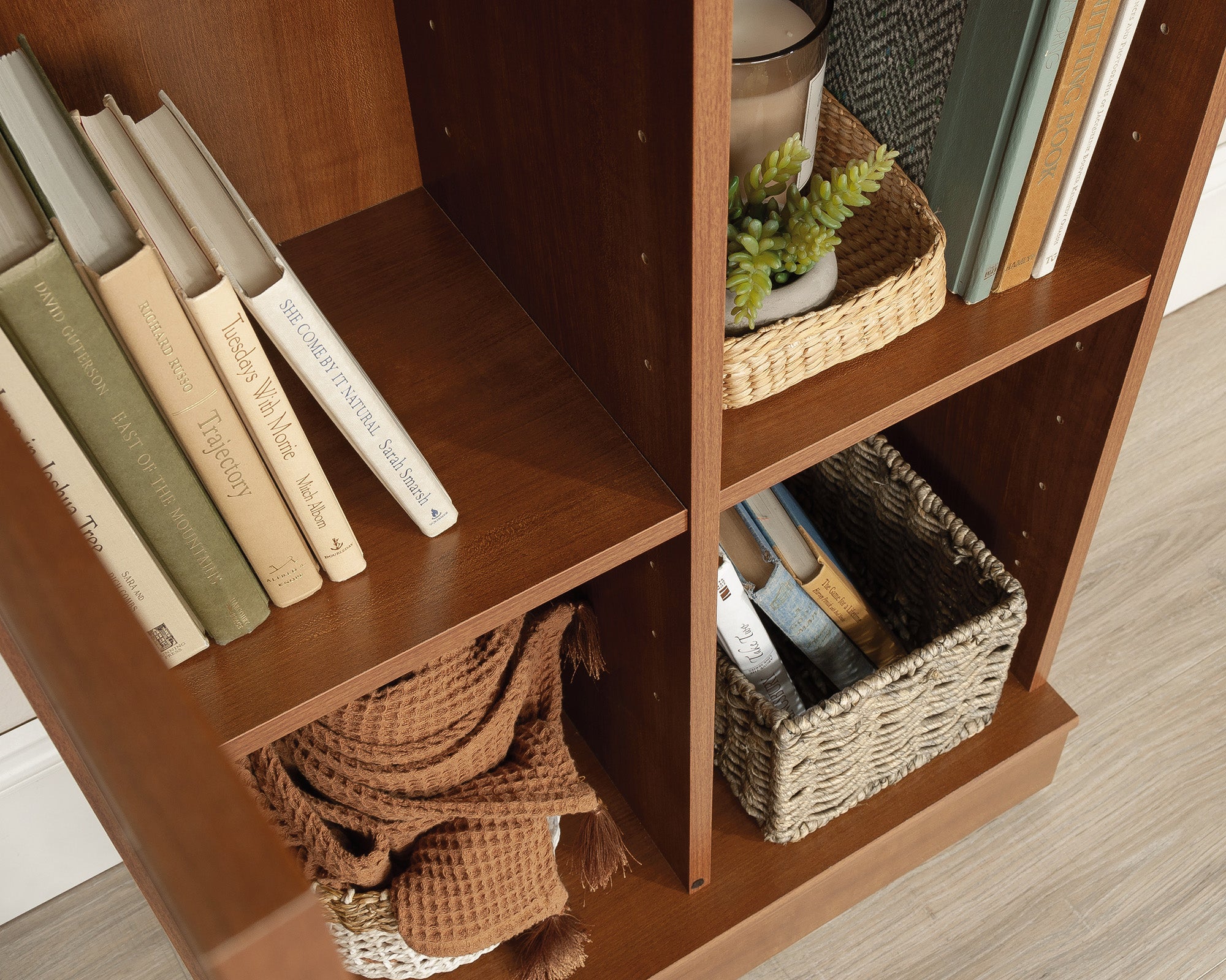 HomePlus 2-Door Storage Cabinet in Sienna Oak