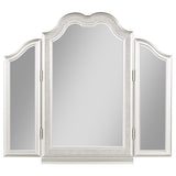 Coaster Evangeline Vanity Mirror with Faux Diamond Trim Silver Default Title