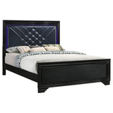 Coaster Penelope Bed with LED Lighting Black and Midnight Star Eastern King