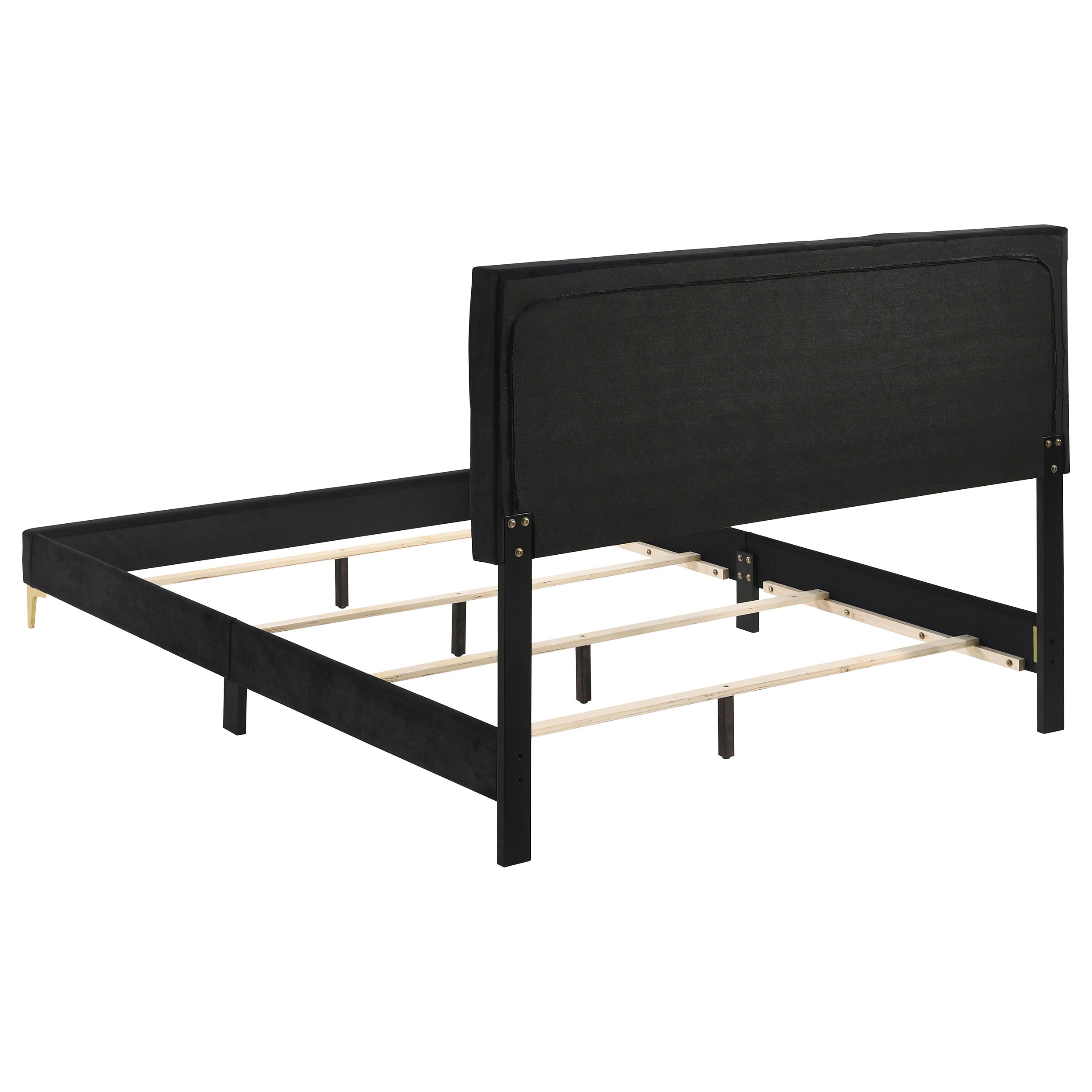 Coaster Kendall Tufted Panel Bed Black and Gold Cal King