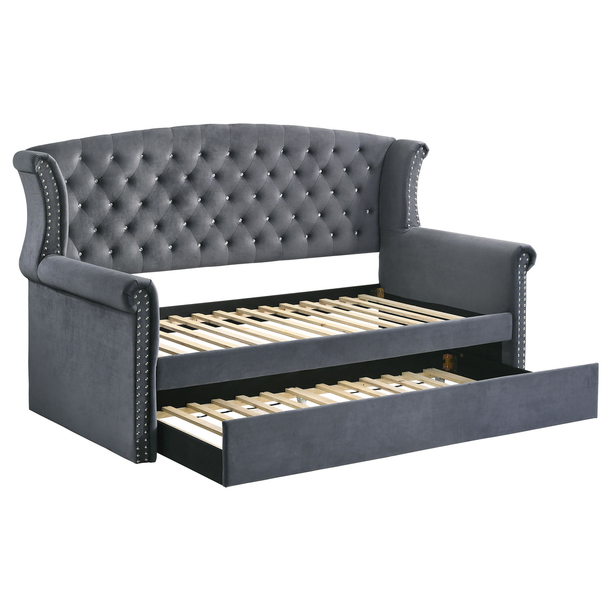 Coaster Scarlett Upholstered Tufted Twin Daybed with Trundle Grey