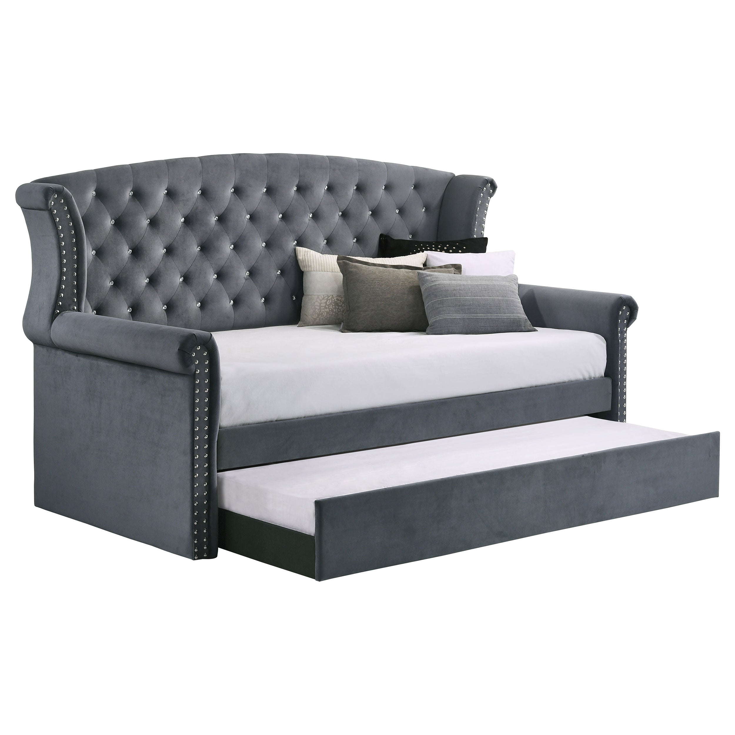 Coaster Scarlett Upholstered Tufted Twin Daybed with Trundle Black