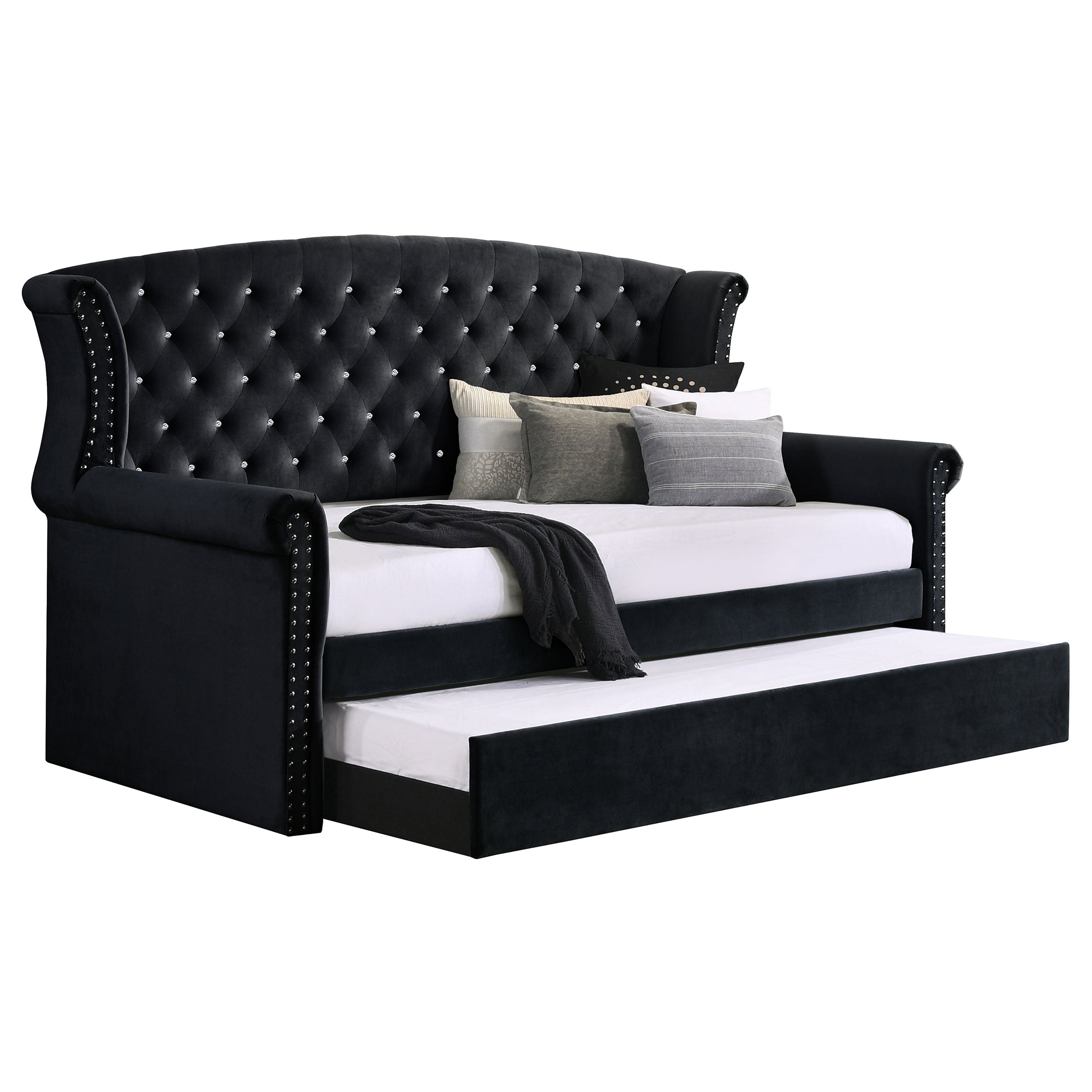 Coaster Scarlett Upholstered Tufted Twin Daybed with Trundle Black