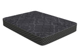 Coaster Siegal 12" Double Sided Mattress Black - Queen Default Title