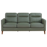 Coaster Jonah Upholstered Track Arm Sofa Green Default Title