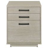 Coaster Loomis 3-drawer Square File Cabinet Whitewashed Grey Default Title