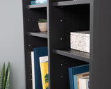 HomePlus 2-Door Storage Cabinet in Raven Oak