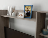 Beginnings  Wall System TV Credenza in Silver Sycamore