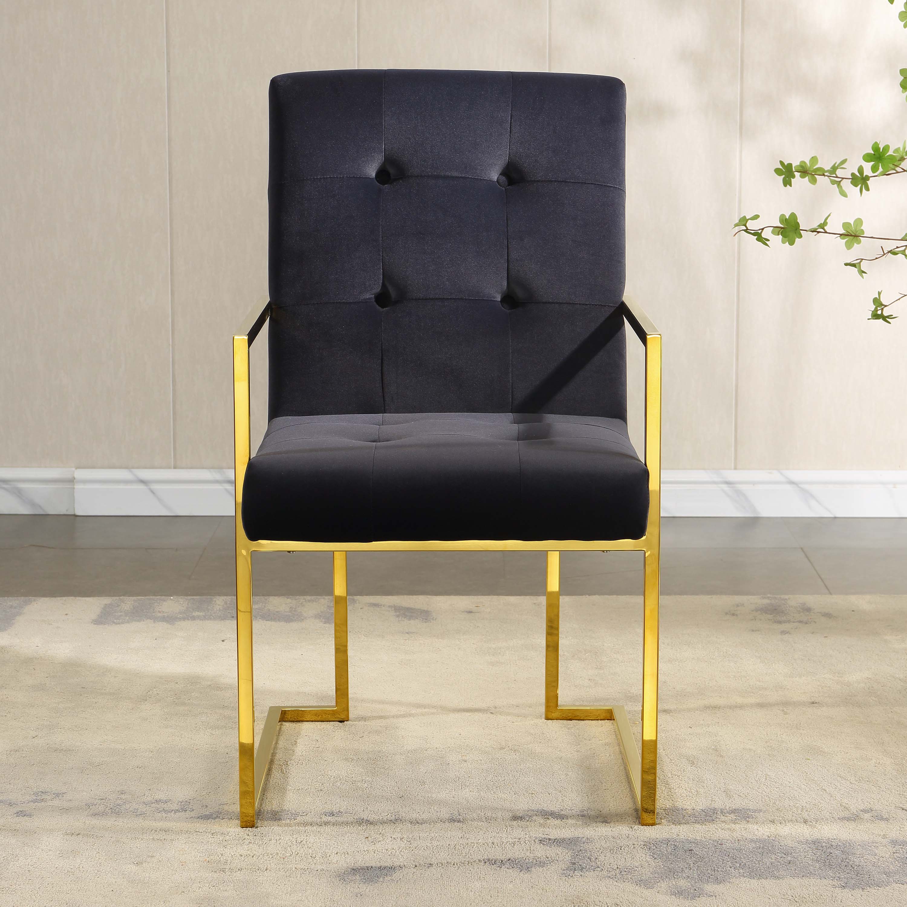 Artisan Denisia Dining Chairs Black