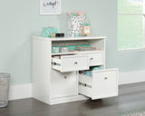 Craft Pro Series  Storage Cabinet