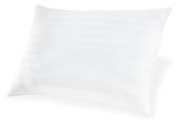 Zephyr 2.0 Cotton Pillow (Set of 2)