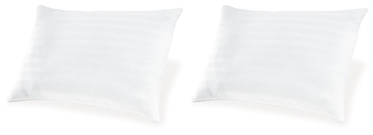 Zephyr 2.0 Cotton Pillow (Set of 2)(9/CS)