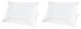 Zephyr 2.0 Cotton Pillow (Set of 2)(9/CS)