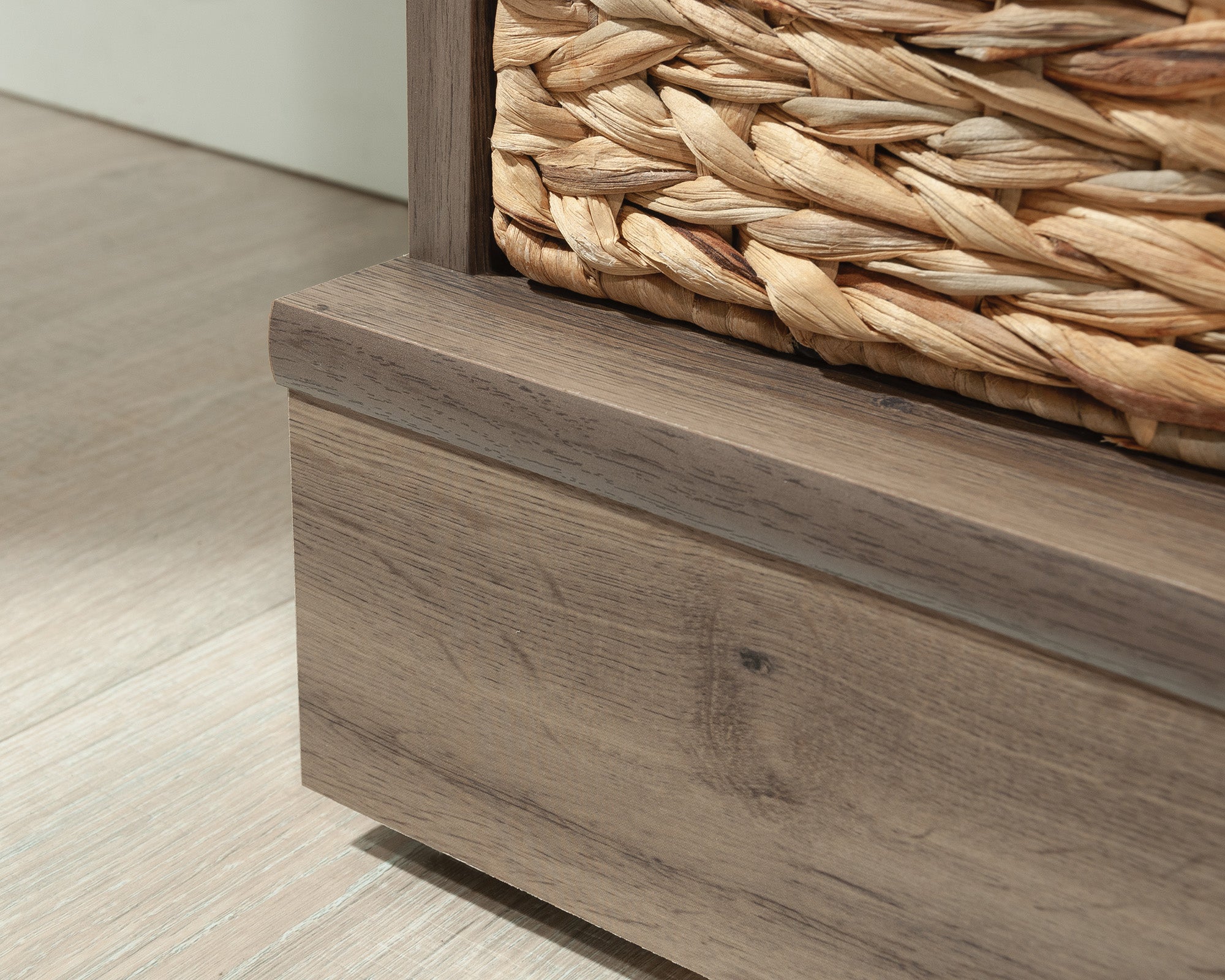 HomePlus 2-Door Storage Cabinet in Salt Oak