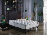 Bellona Veraflex Advance Queen Mattress by Bellona