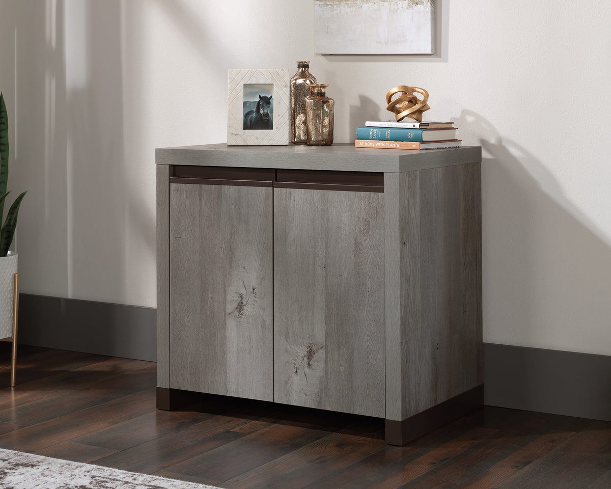 Manhattan Gate  2-Door Library Base Cabinet in Mystic Oak