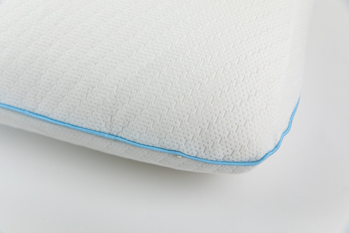 dreamGuard Biofoam Jumbo/Queen Pillow