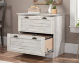 Barrister Lane  2-Drawer Lateral File Cabinet in White Plank