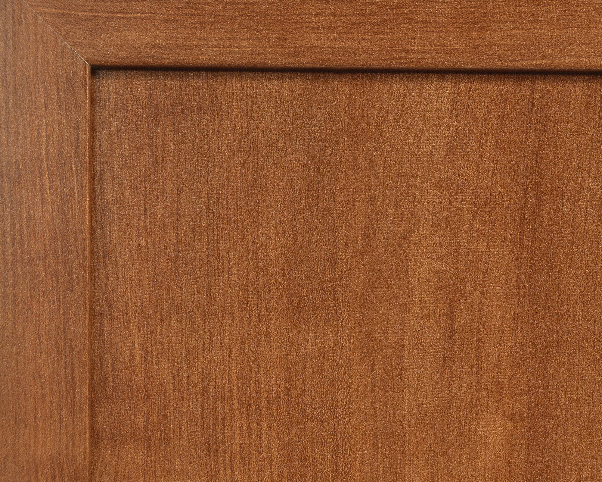 HomePlus 2-Door Storage Cabinet in Sienna Oak