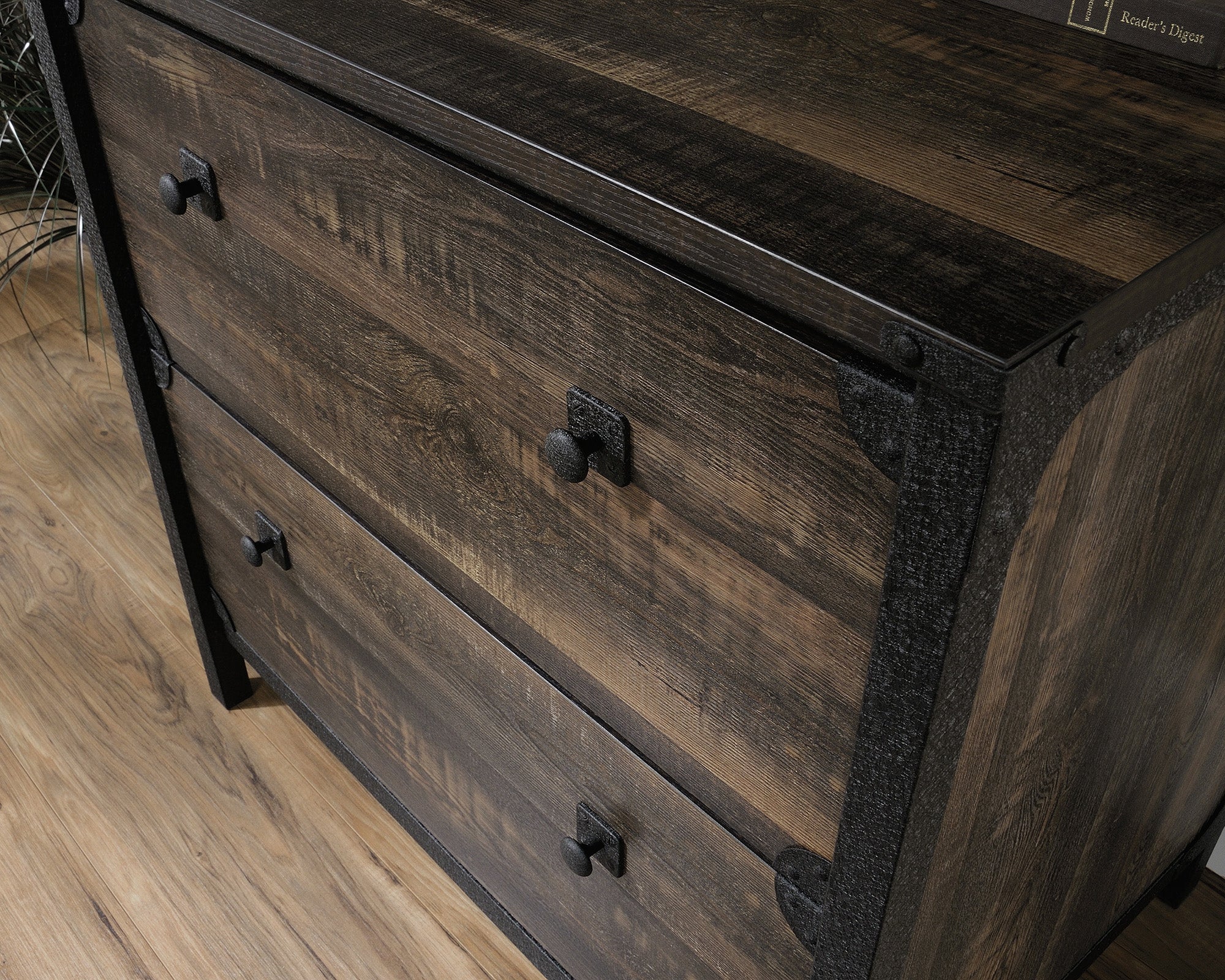 Steel River  2-Drawer Lateral File Cabinet in Carbon Oak