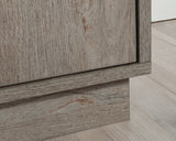 Sundar  2-Door Storage Cabinet in Mystic Oak